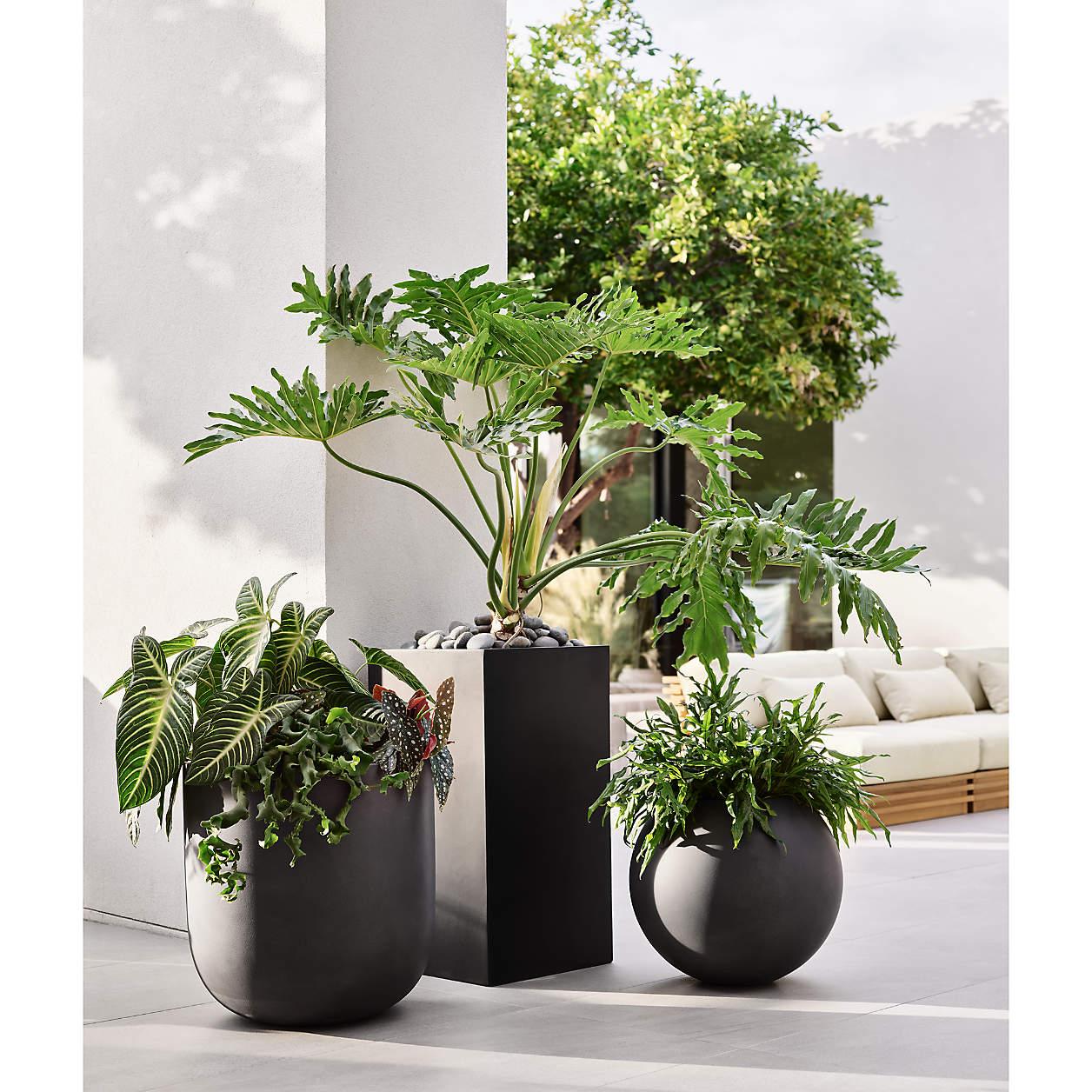 Fiber Pots