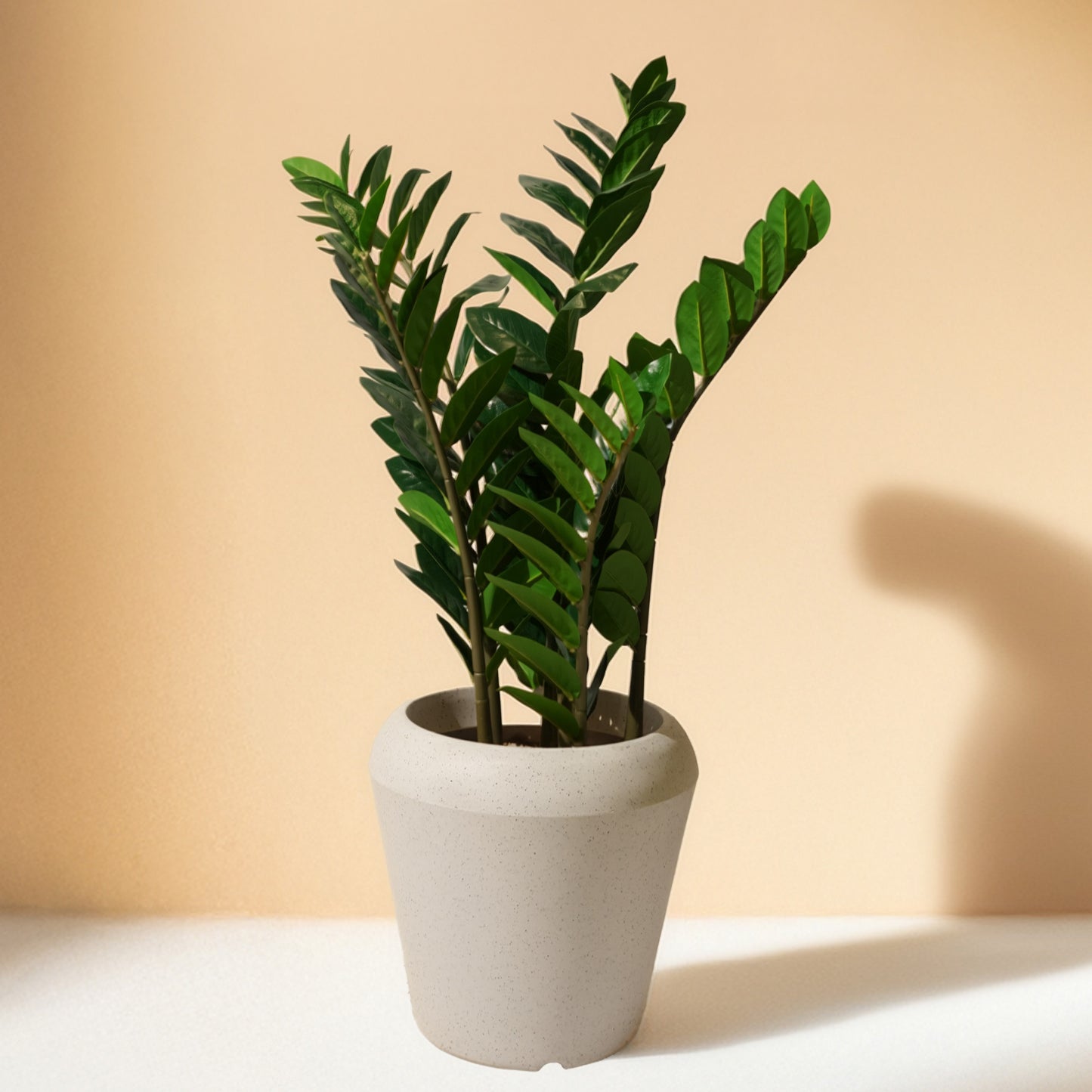 Zamiifolia Artificial Plant (90CM) No Pot
