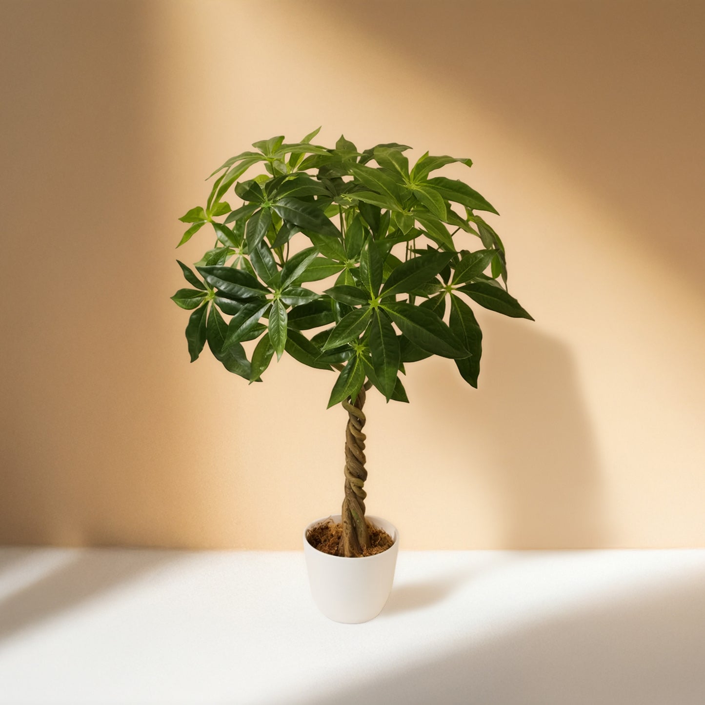 Fortune Bonsai Artificial Plant (55CM) No Pot