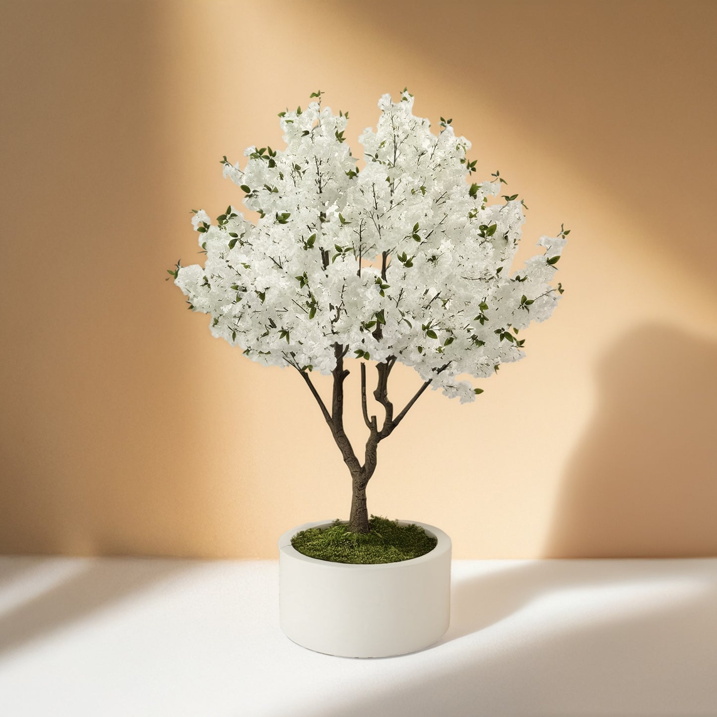 Cherry Tree (250CM) No Pot O352