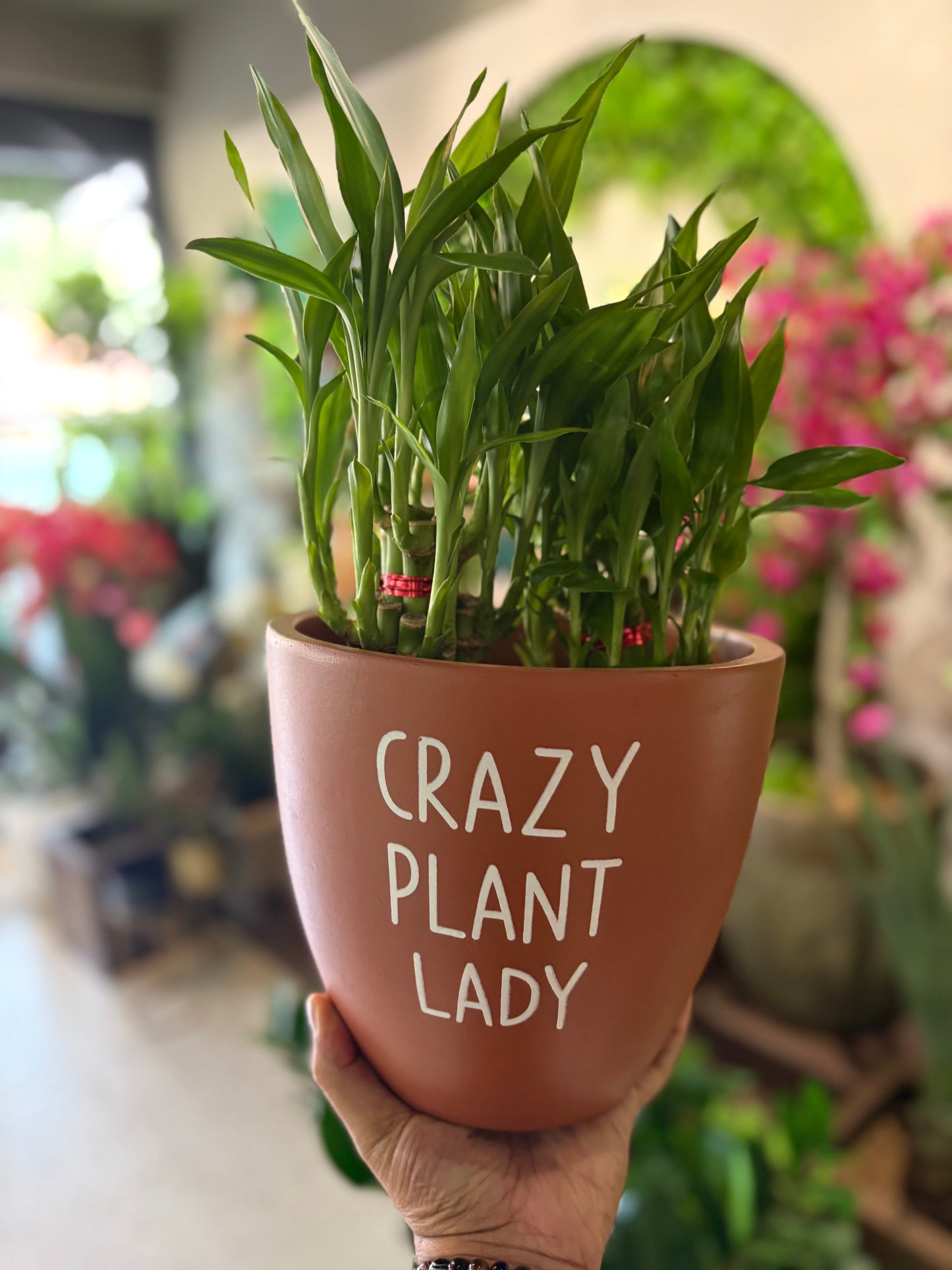 Crazy Plant Lady Terracotta Large Size Table Top Pot