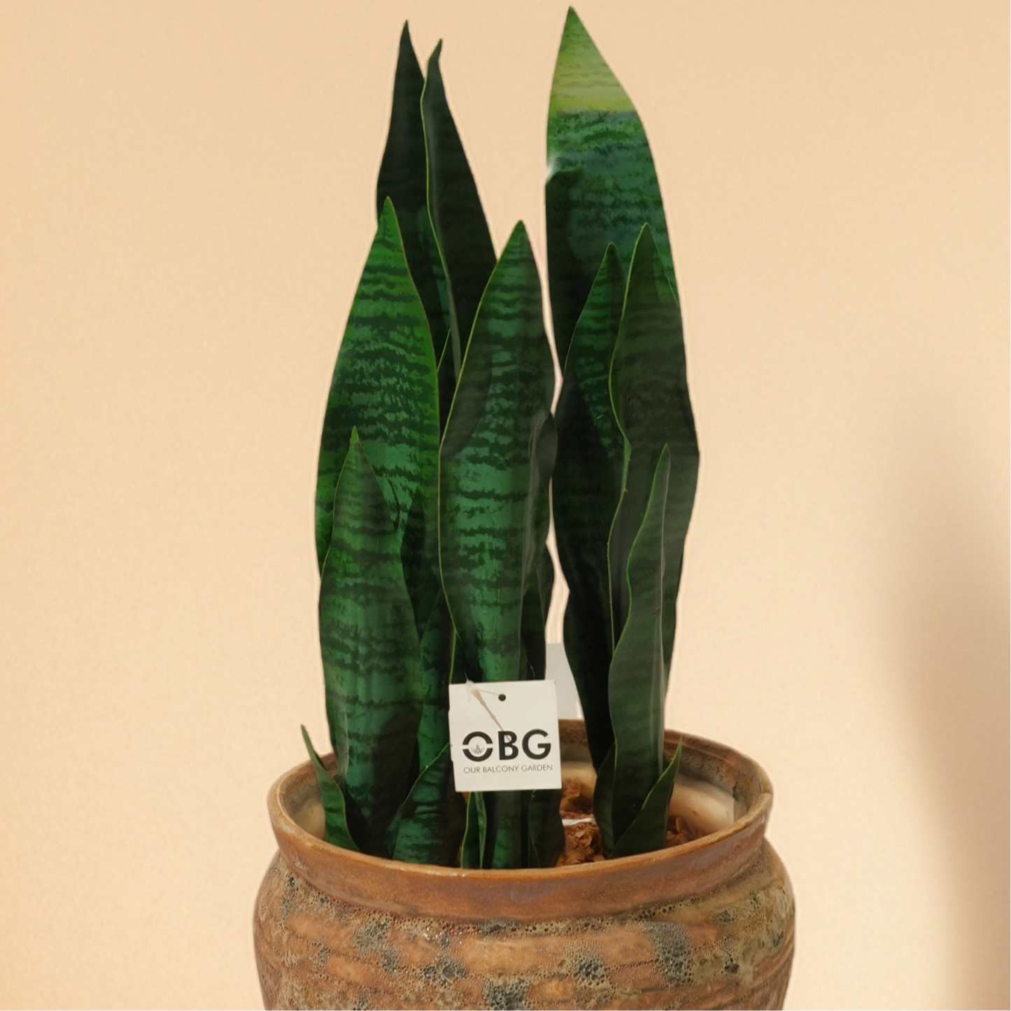 Sansevieria - Snake Artificial Plant (55CM) No Pot