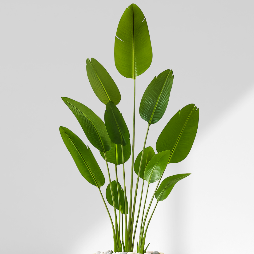 Traveller's Palm Artificial Plant (200CM) No Pot