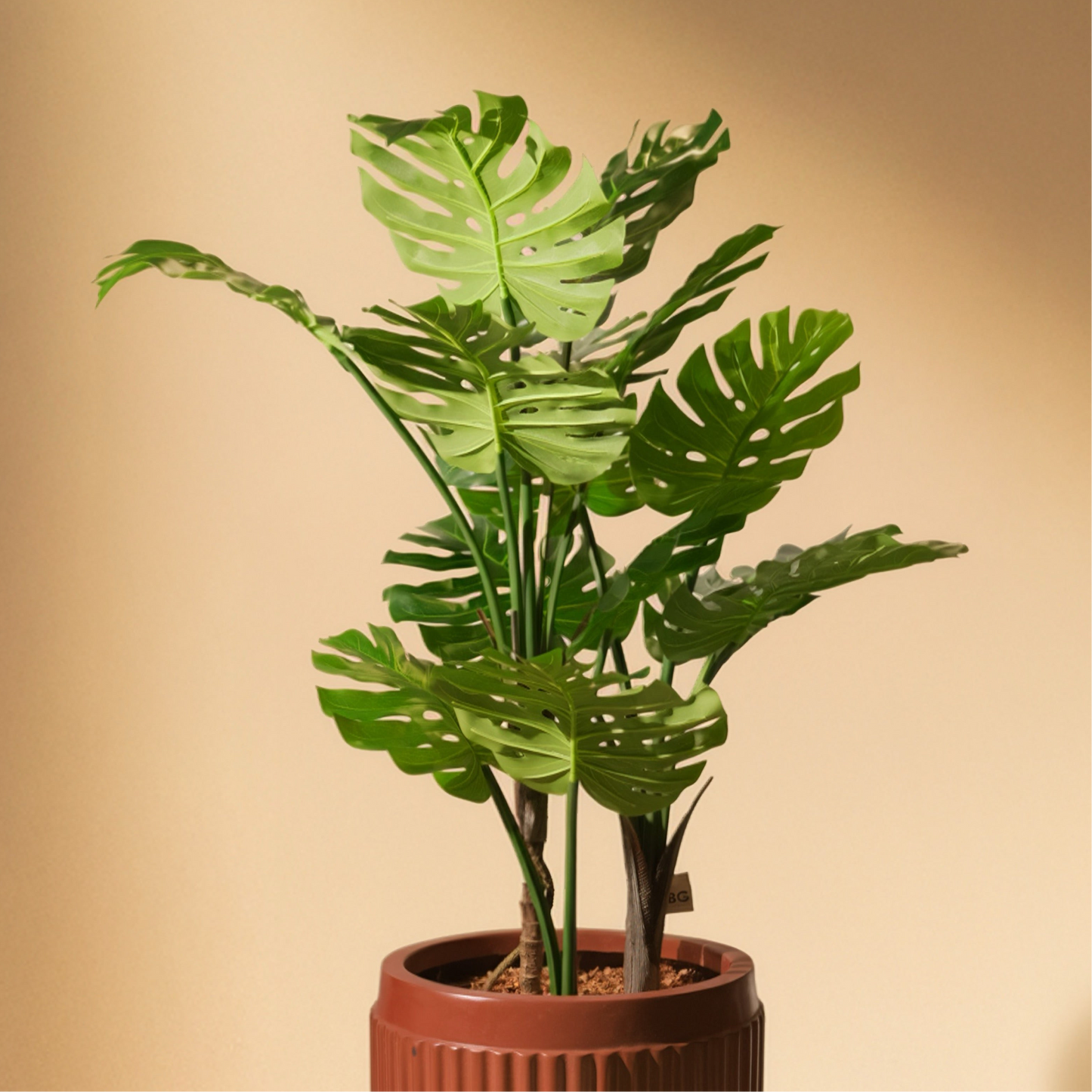 Monstera Artificial Plant (150CM) No Pot