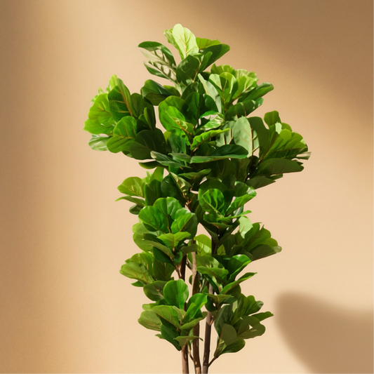 Fiddle Artificial Tree (180CM) No Pot