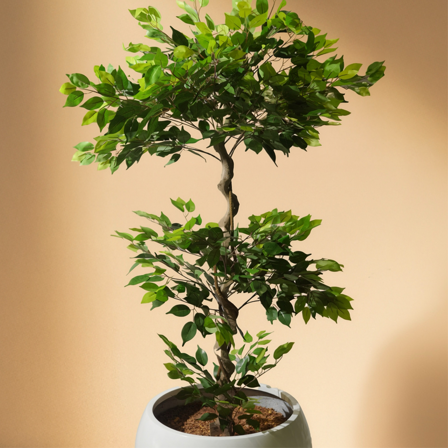 Ficus Artificial Tree in Fabric Leaves (180CM) No Pot