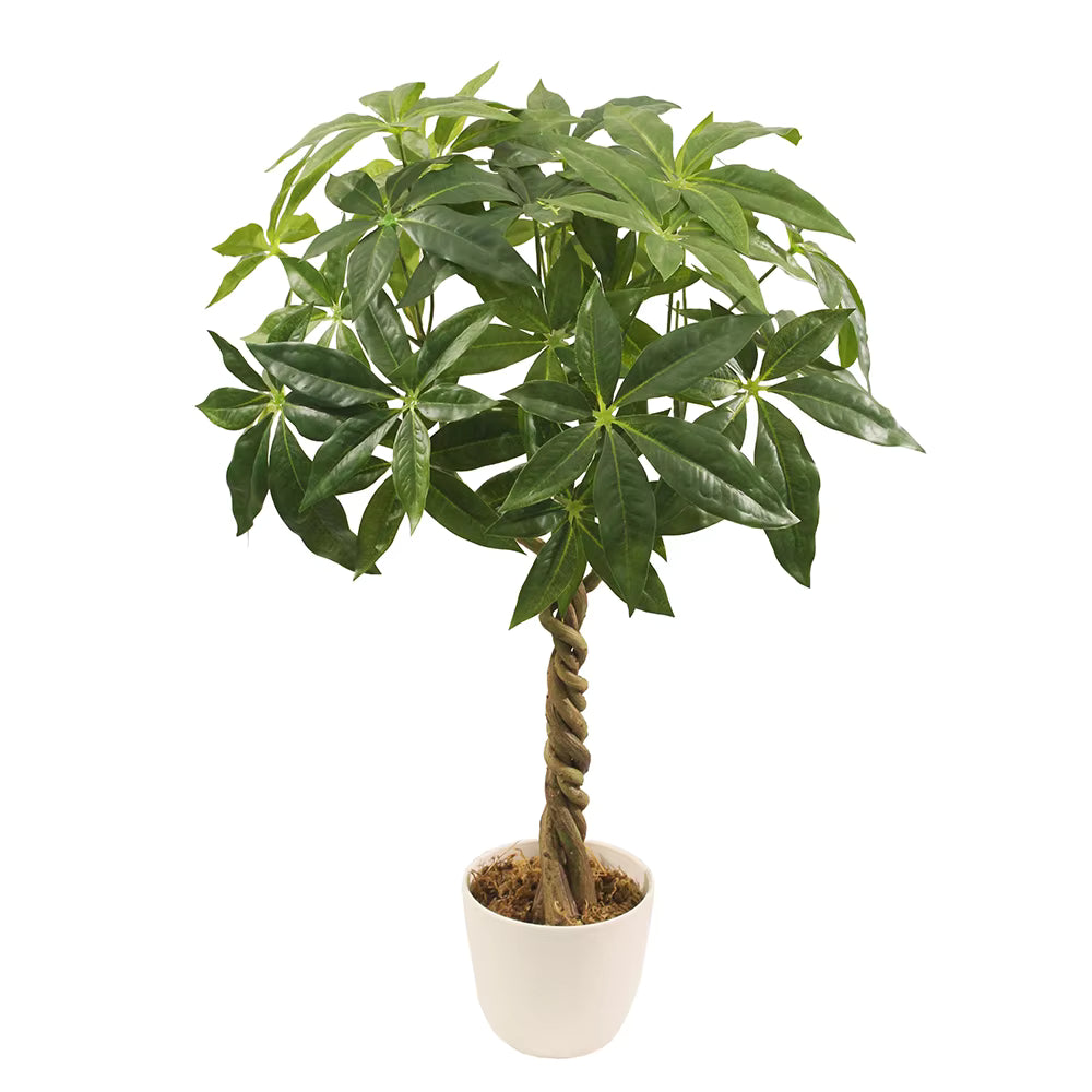 Fortune Bonsai Artificial Plant (55CM) No Pot