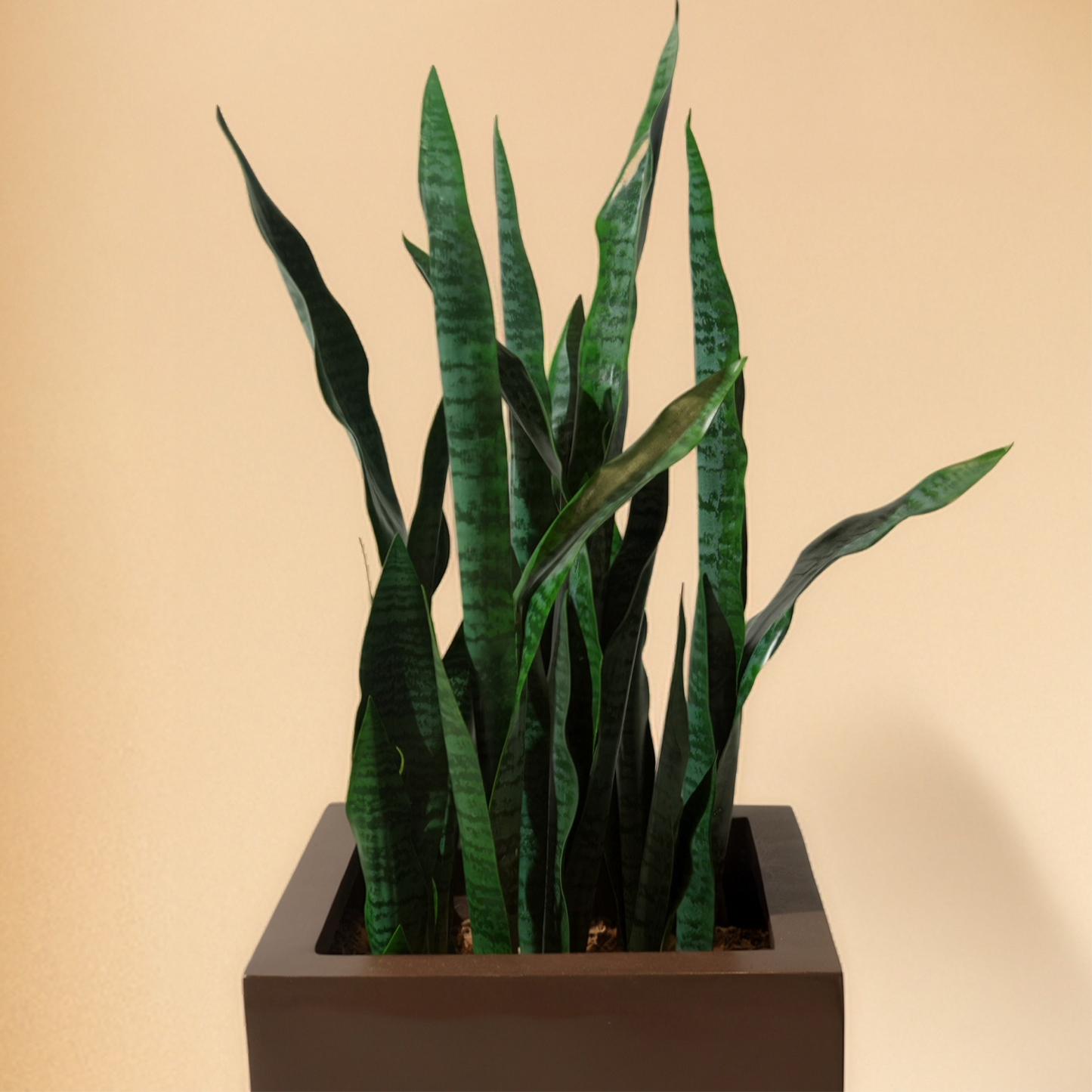 Sansevieria - Snake Artificial Plant (90CM) No Pot