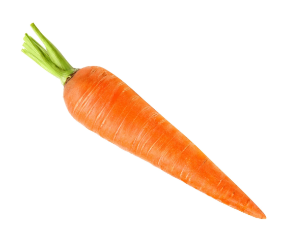 Carrot Orange Seeds