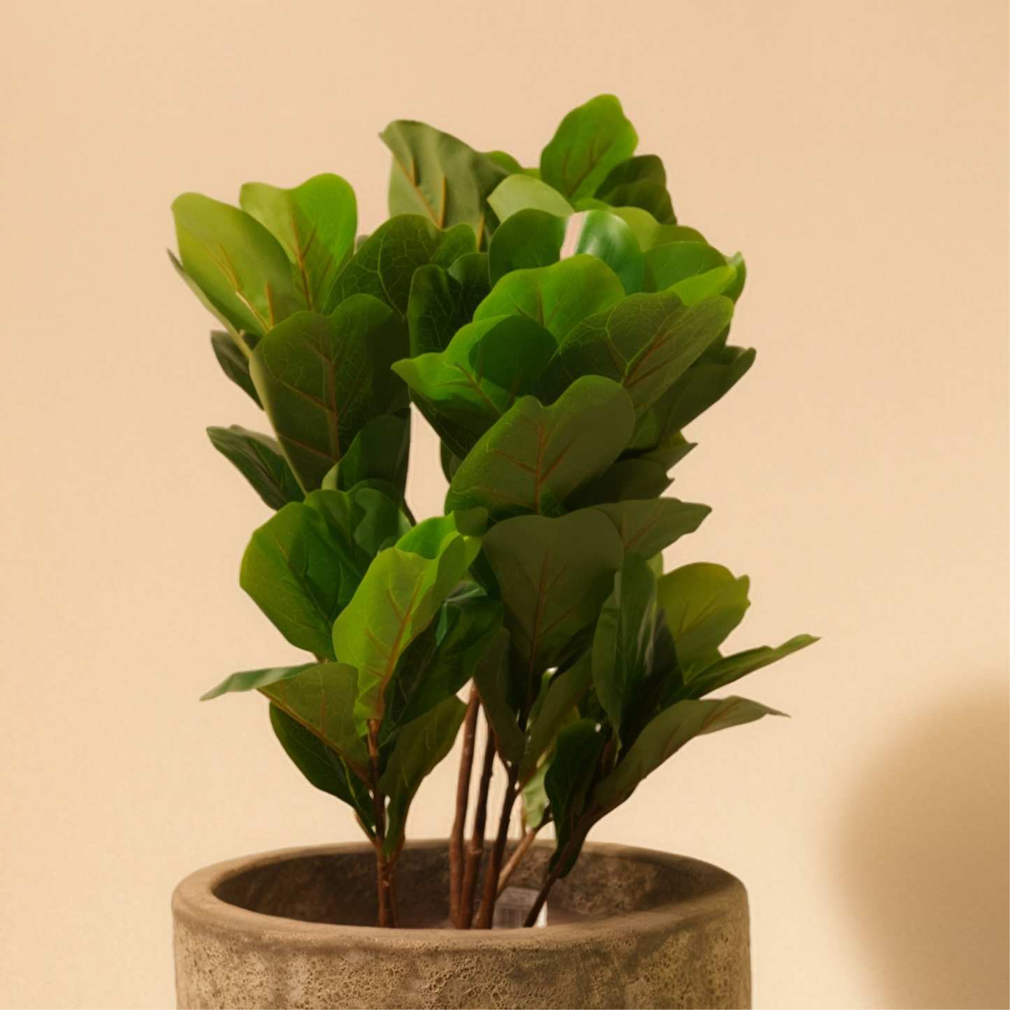 Fiddle Artificial Plant (70CM) No Pot