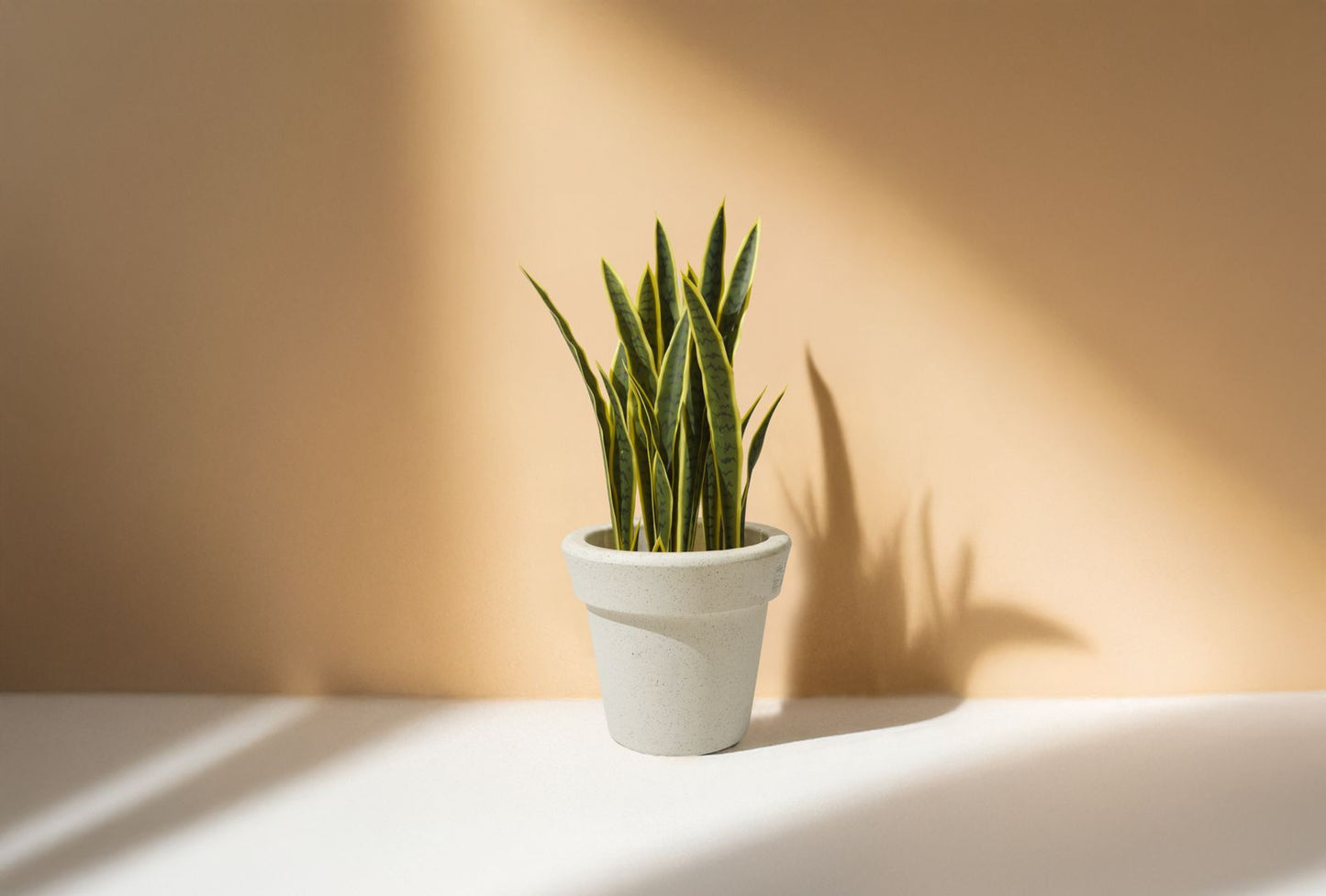 Sansevieria - Snake Artificial Plant (63CM) No Pot
