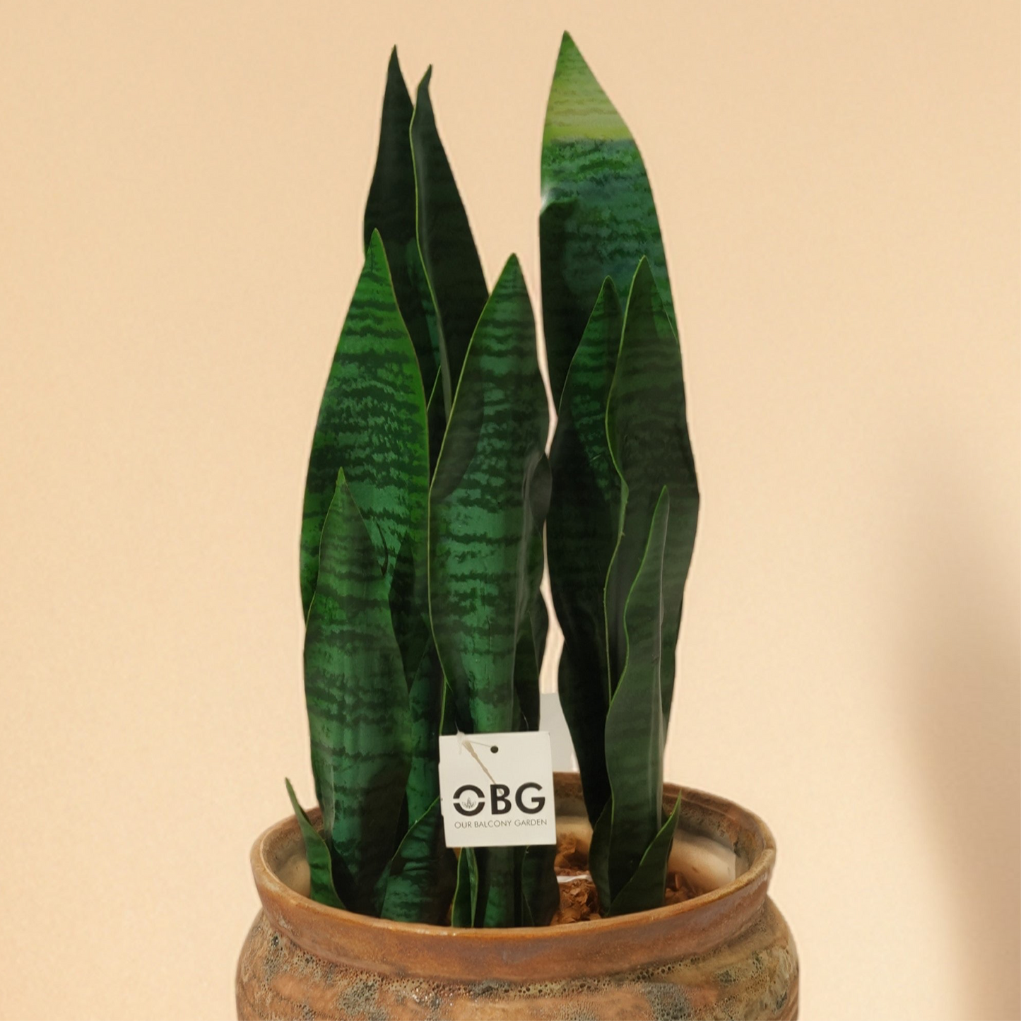 Sansevieria - Snake Artificial Plant (55CM) No Pot