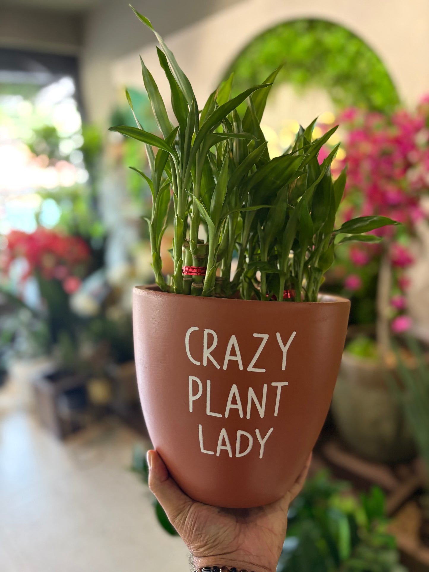 Crazy Plant Lady Terracotta Large Size Table Top Pot