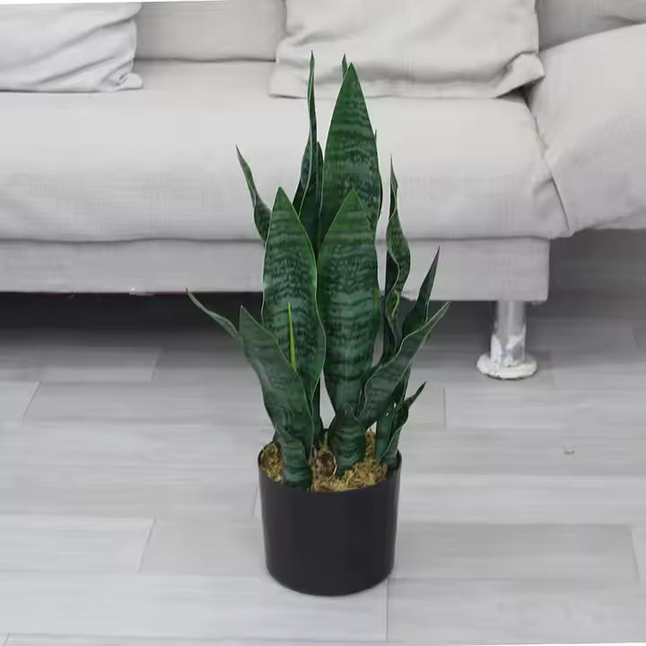Sansevieria - Snake Artificial Plant (55CM) No Pot