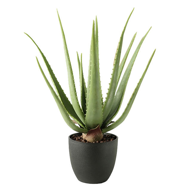 Aloe Artificial Plant (45cm) No Pot