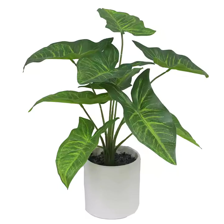 Taro Green Artificial Plant(40CM) No Pot