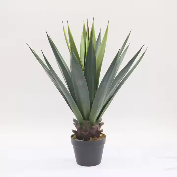 Yucca Artificial Plant (73CM) No Pot