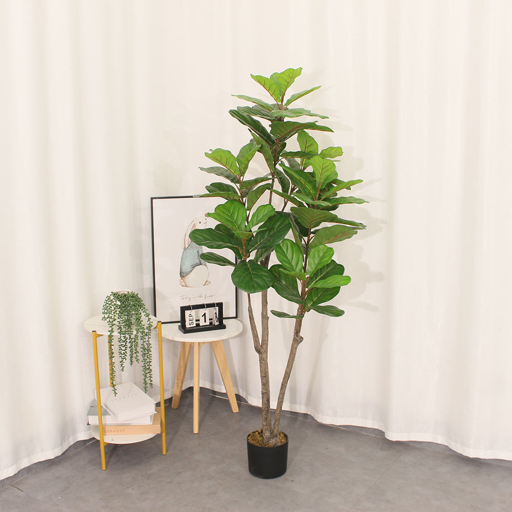 Fiddle Fig Leaf (145CM) No Pot
