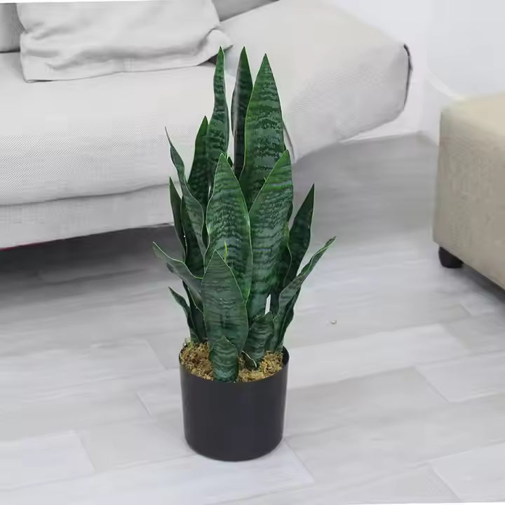 Sansevieria - Snake Artificial Plant (55CM) No Pot