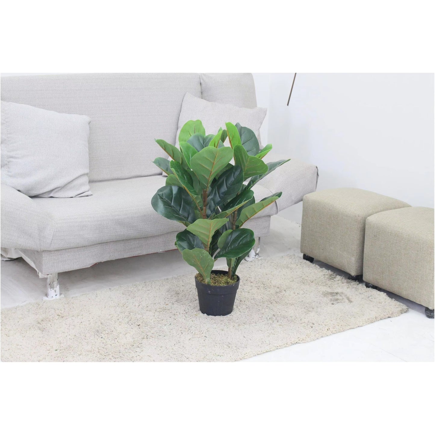 Fiddle Artificial Plant (70CM) No Pot