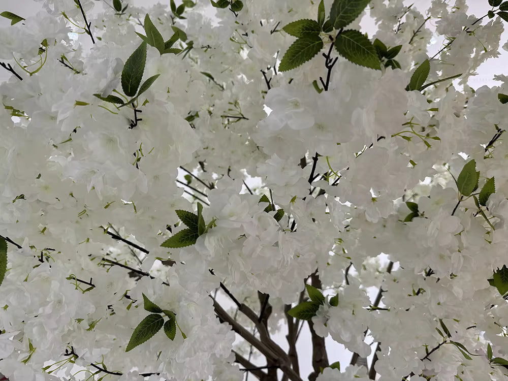 Cherry Tree (250CM) No Pot O352