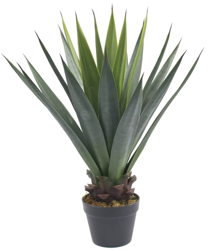 Yucca Artificial Plant (73CM) No Pot