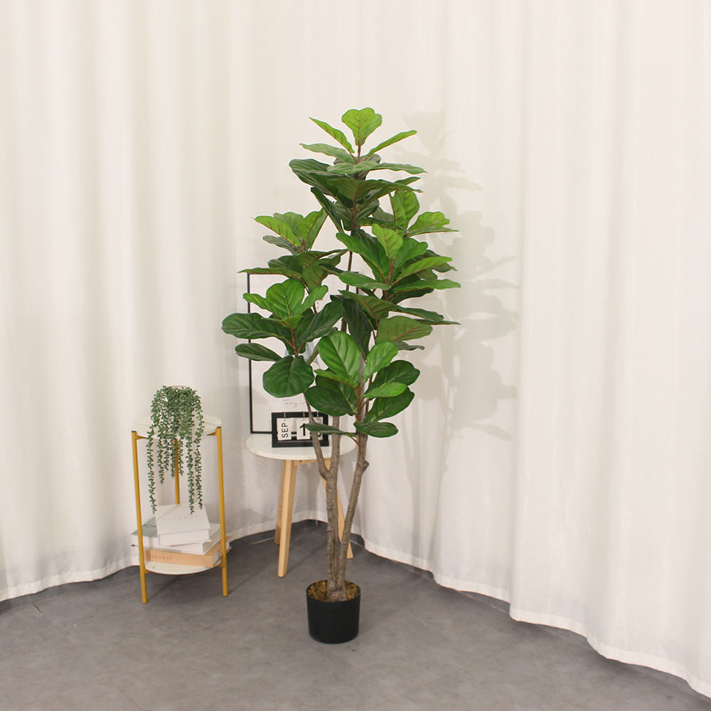 Fiddle Fig Leaf (145CM) No Pot