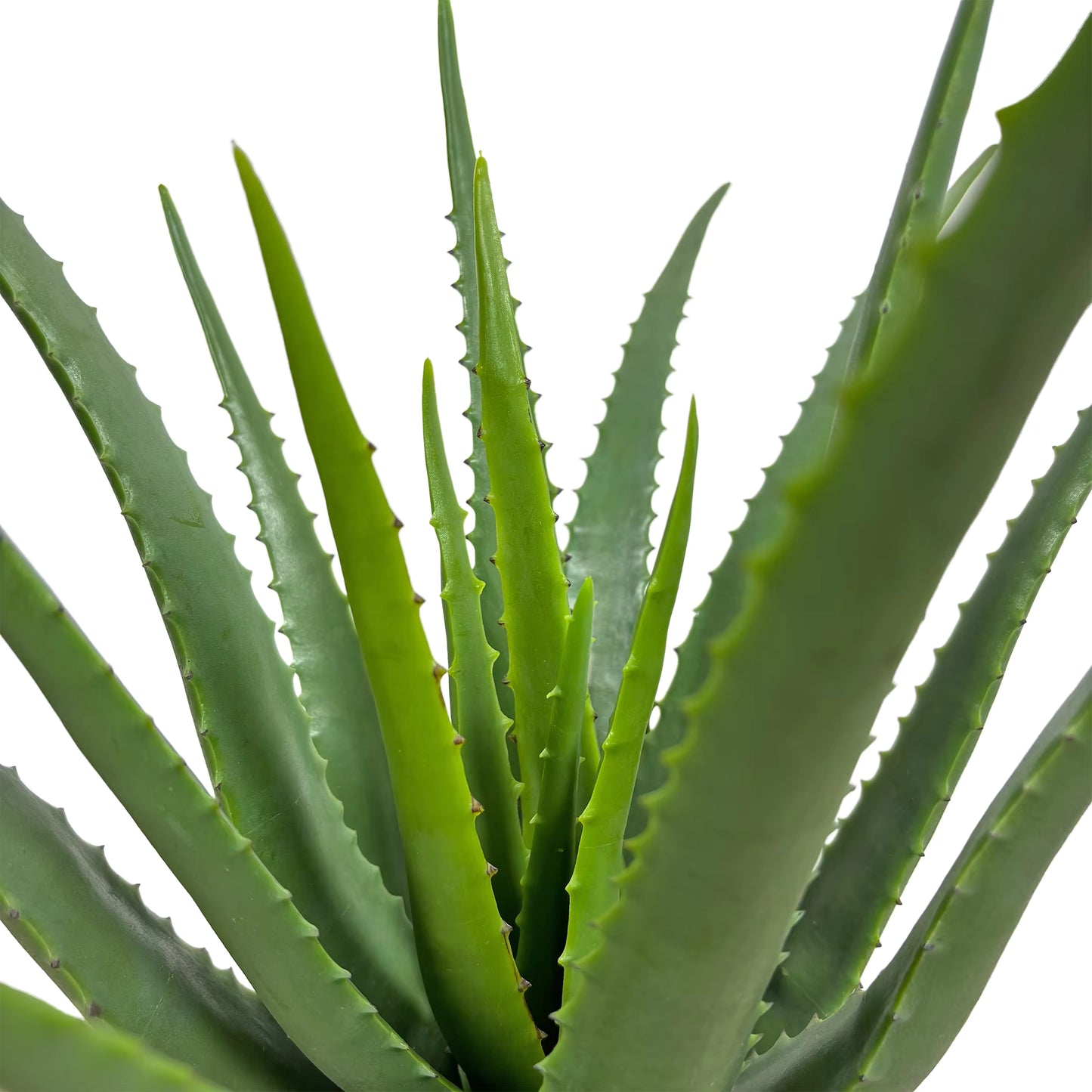 Aloe Artificial Plant (45cm) No Pot