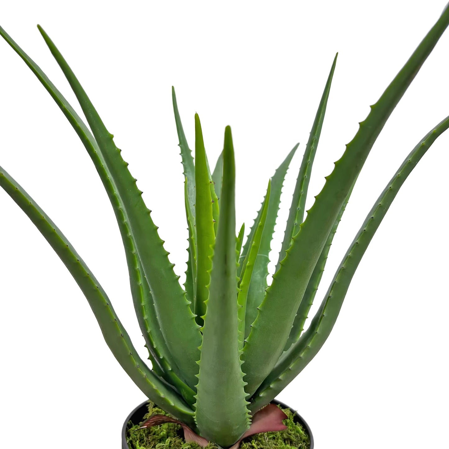 Aloe Artificial Plant (45cm) No Pot
