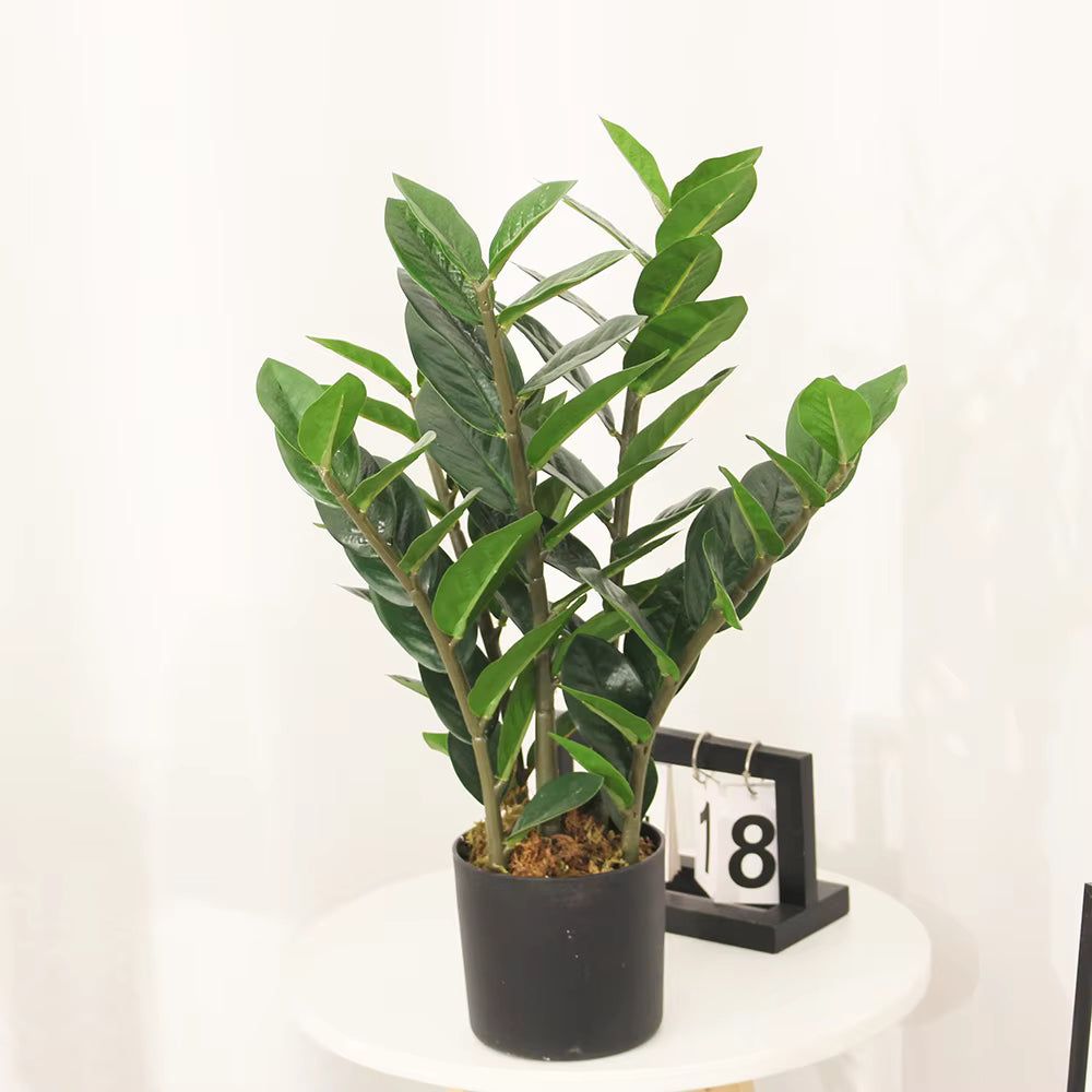 Zamiifolia Artificial Plant (90CM) No Pot