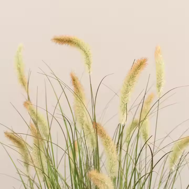 Grass Plant Artificial Brown Flower (95CM) No Pot