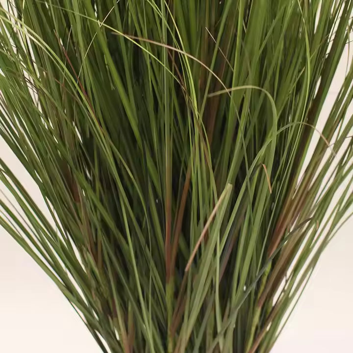 Grass Plant Artificial Brown Flower (95CM) No Pot