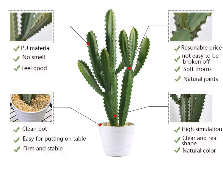Cactus Plant (56cm) No Pot