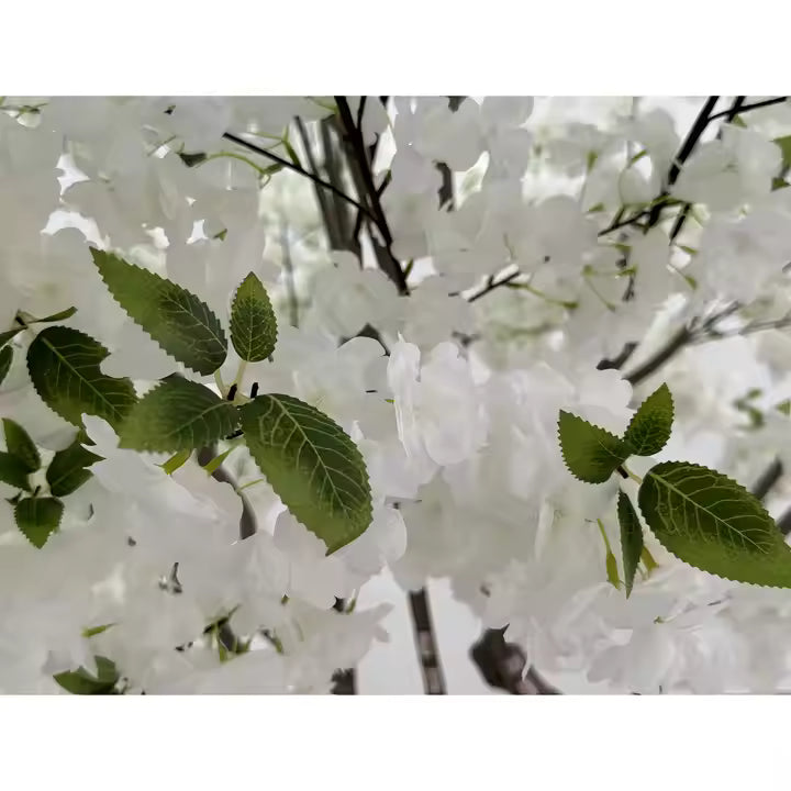Cherry Tree (250CM) No Pot O352