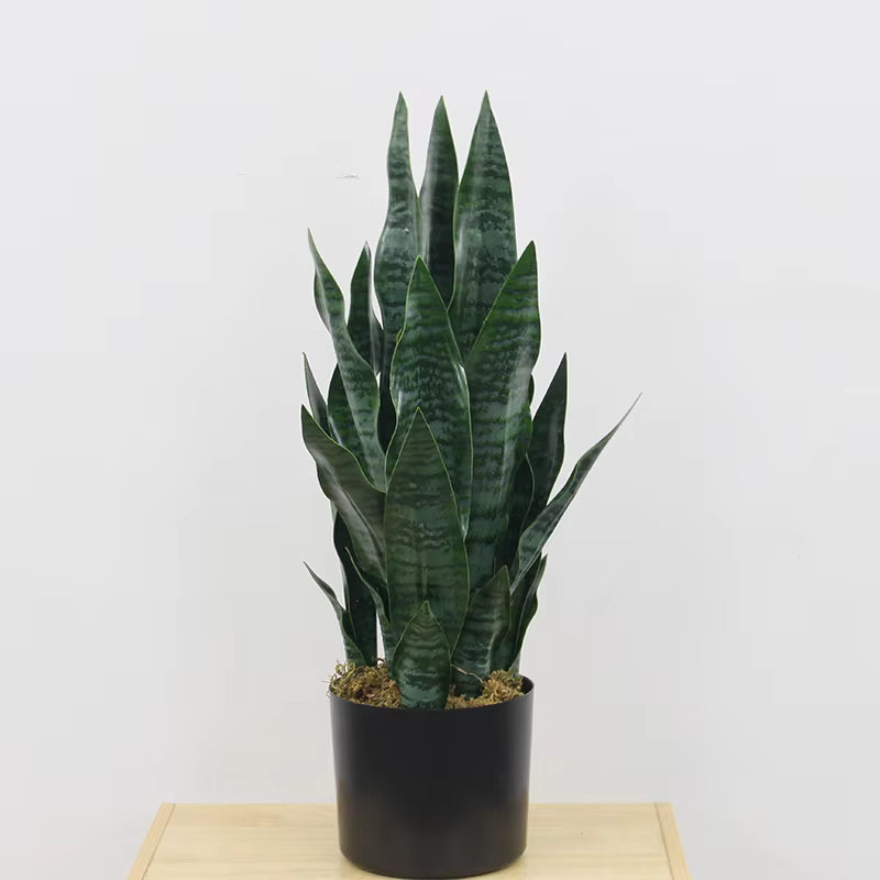 Sansevieria - Snake Artificial Plant (55CM) No Pot