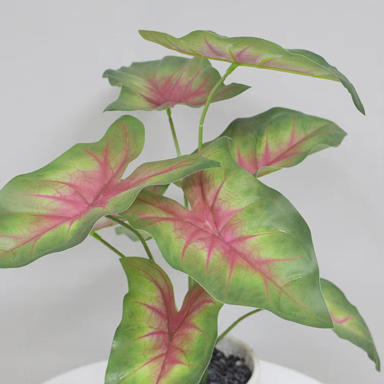 Taro Green Pink Artificial Plant(40CM) No Pot