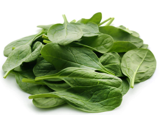 Spinach Matador Seeds