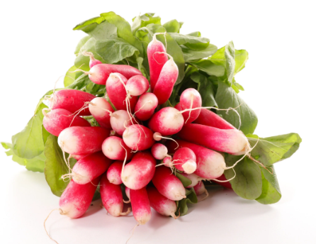 French Breakfast Radish Seeds