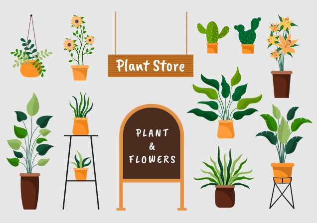 PLANT STORE – OurBalconyGarden