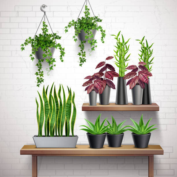 Artificial Plants