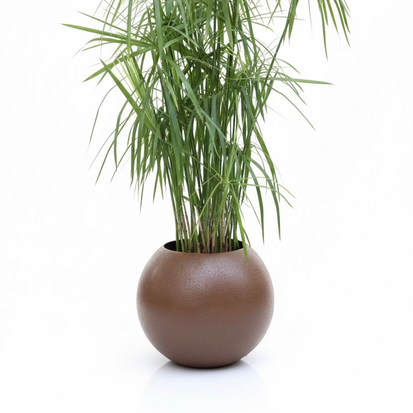 Oval Close Fiber Pot (Size - 18inch)