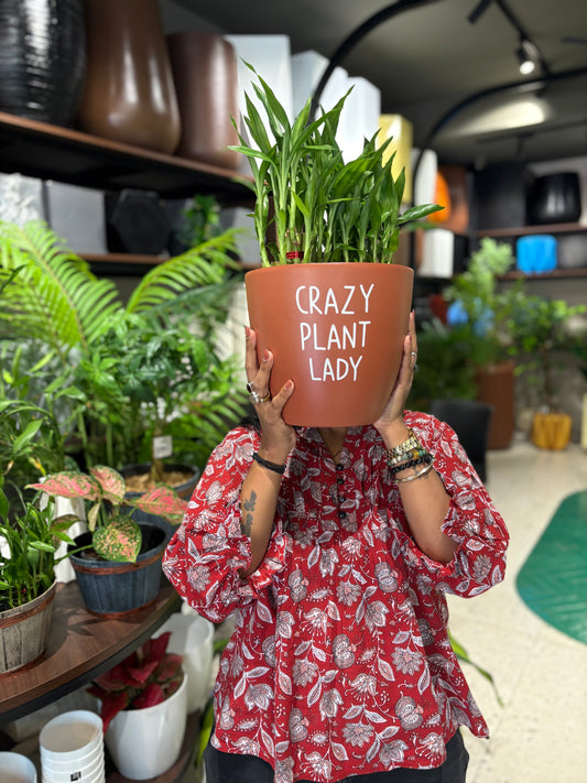 Crazy Plant Lady Terracotta Large Size Table Top Pot