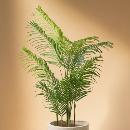Areca Palm Tree Artificial Plant (180cm) No Pot