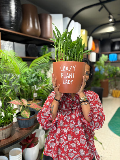 Crazy Plant Lady Terracotta Large Size Table Top Pot