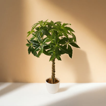 Fortune Bonsai Artificial Plant (55CM) No Pot