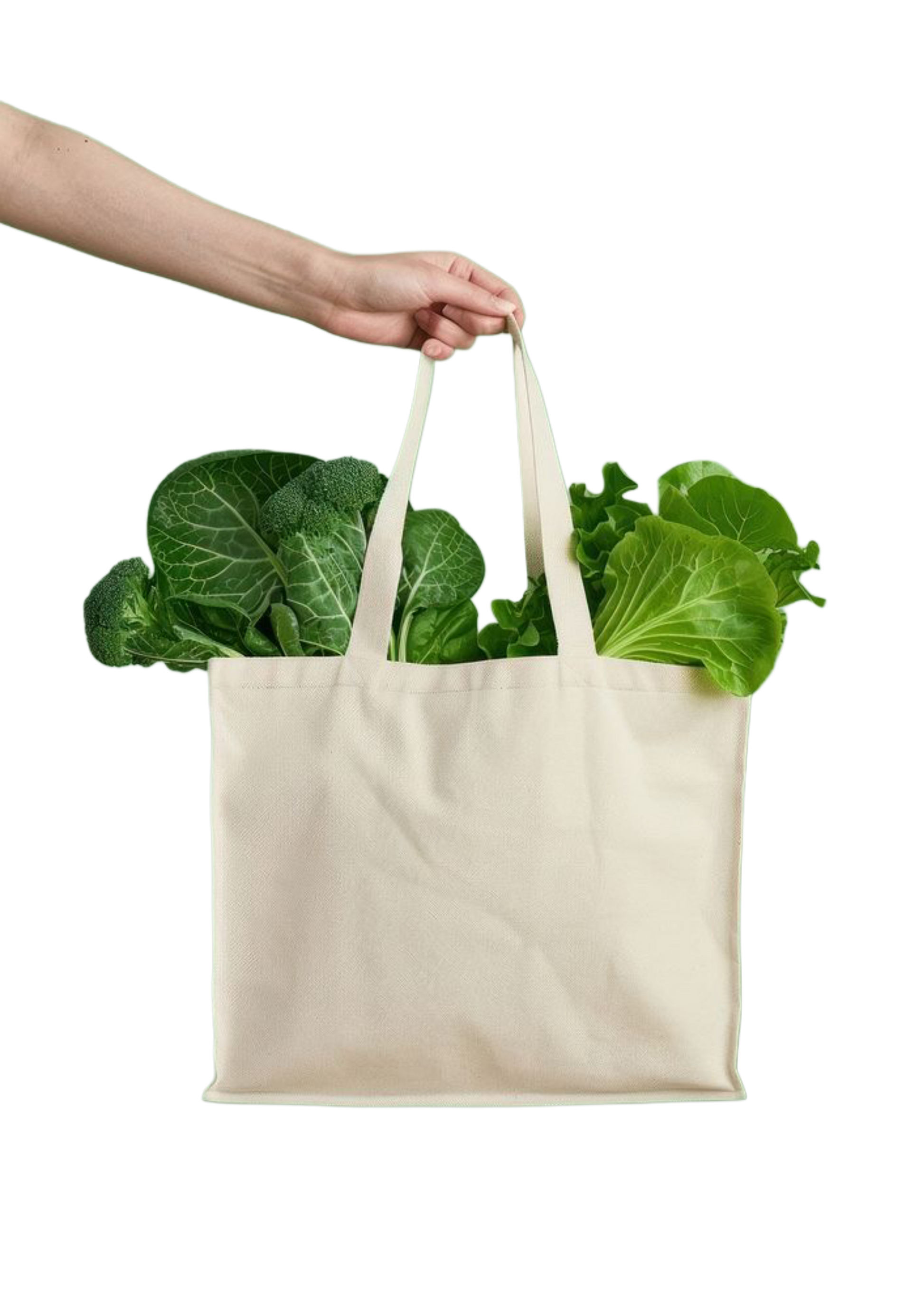Vegetable Bag with Six Pockets O3