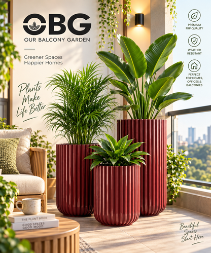 COSTOLA FRP Pots by Our Balcony Garden