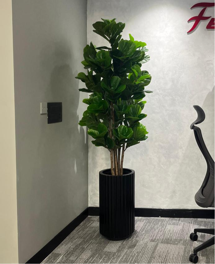 Artificial Fig (Without Pot)- 4ft