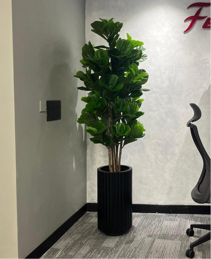 Fiddle Artificial Tree (180CM) No Pot