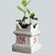 OurBalconyGarden Ceramic Tulsi Planter | For Home OBG-10